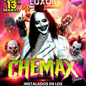 Grada 50% de Descuento