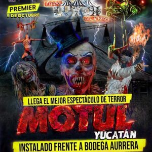 Grada 30% de Descuento
